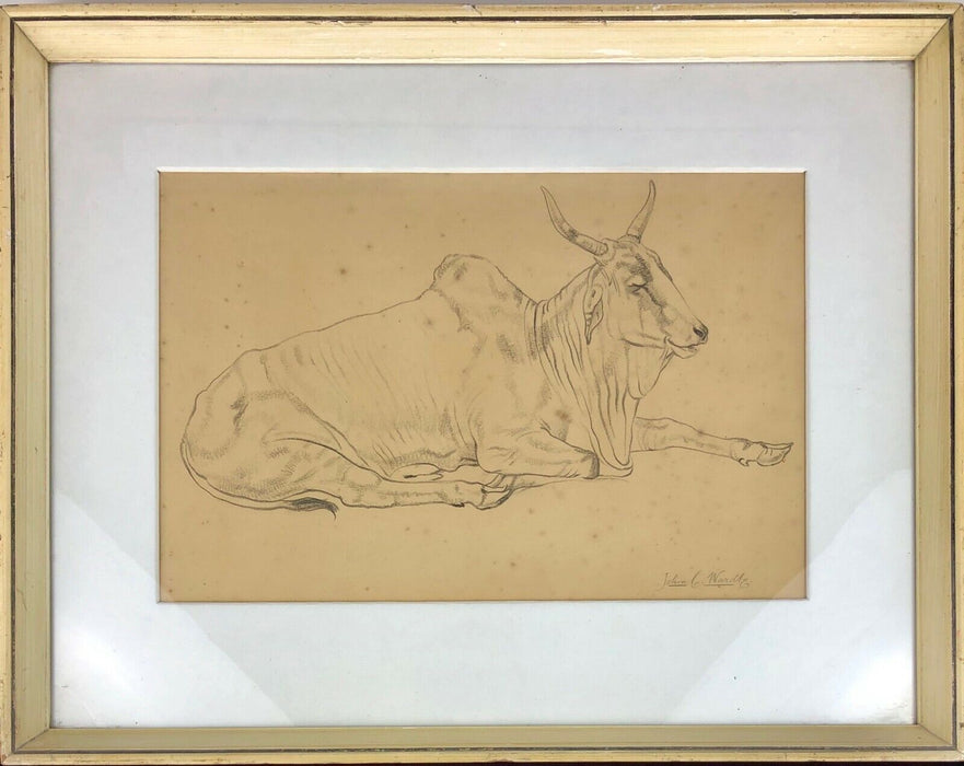JOHN CLIFFORD WARDLE 'BISON' WILD COW BULL OX PENCIL DRAWING, SIGNED