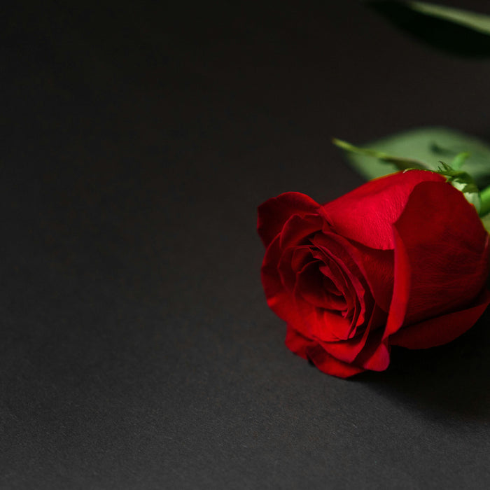 Best valentines’ gifts for 2026