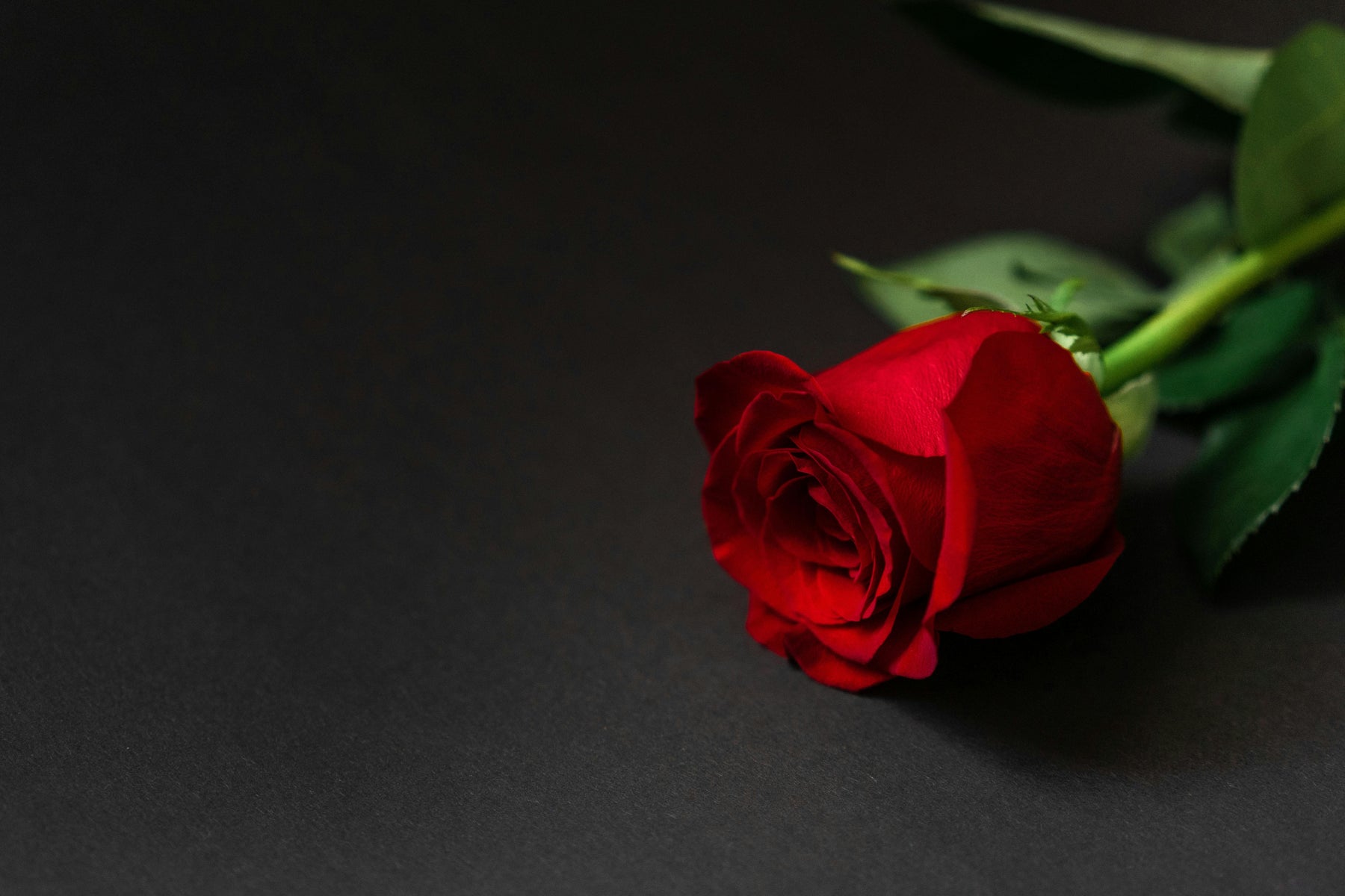 Best valentines’ gifts for 2026