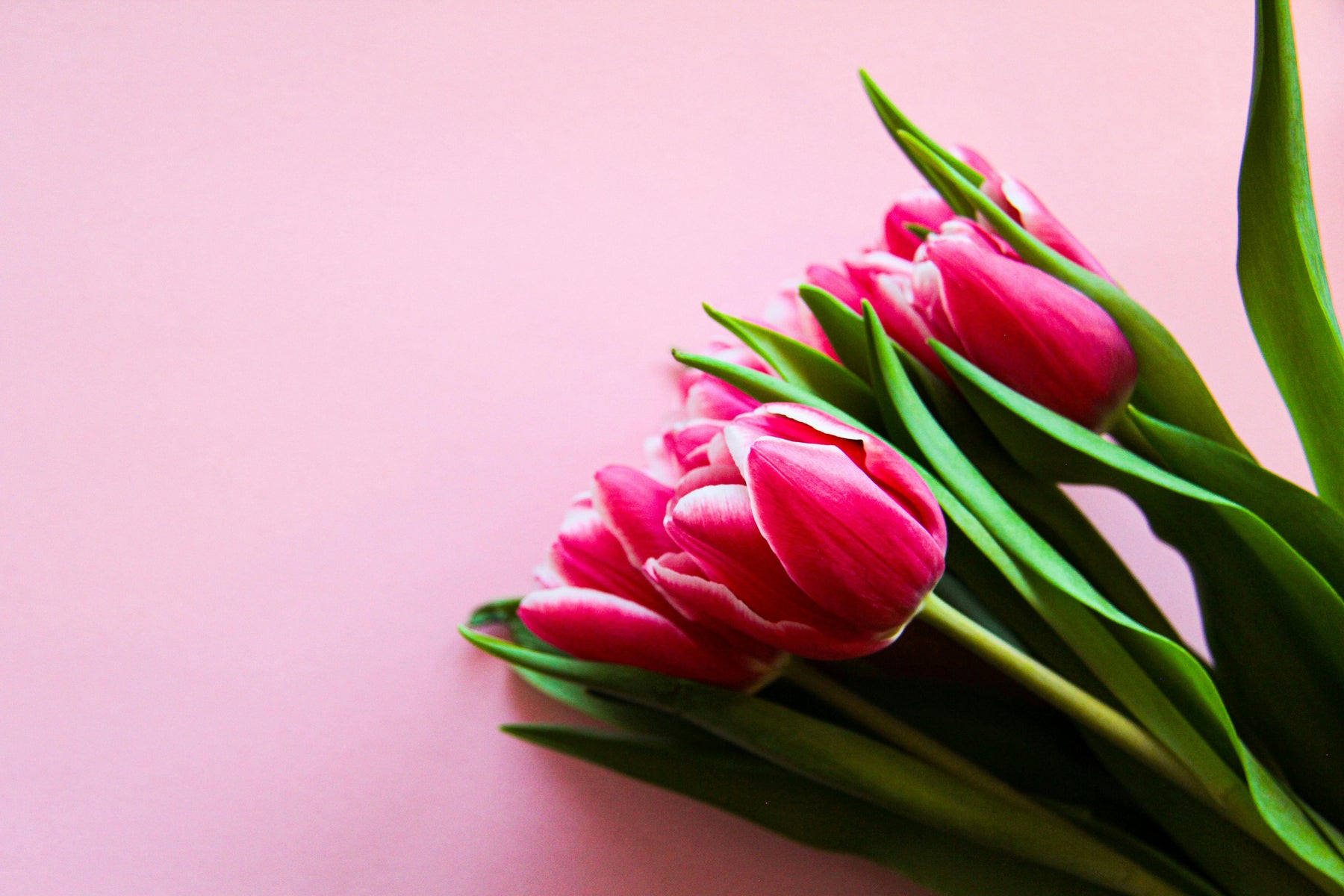 Mother’s Day gift ideas for mums who love antiques