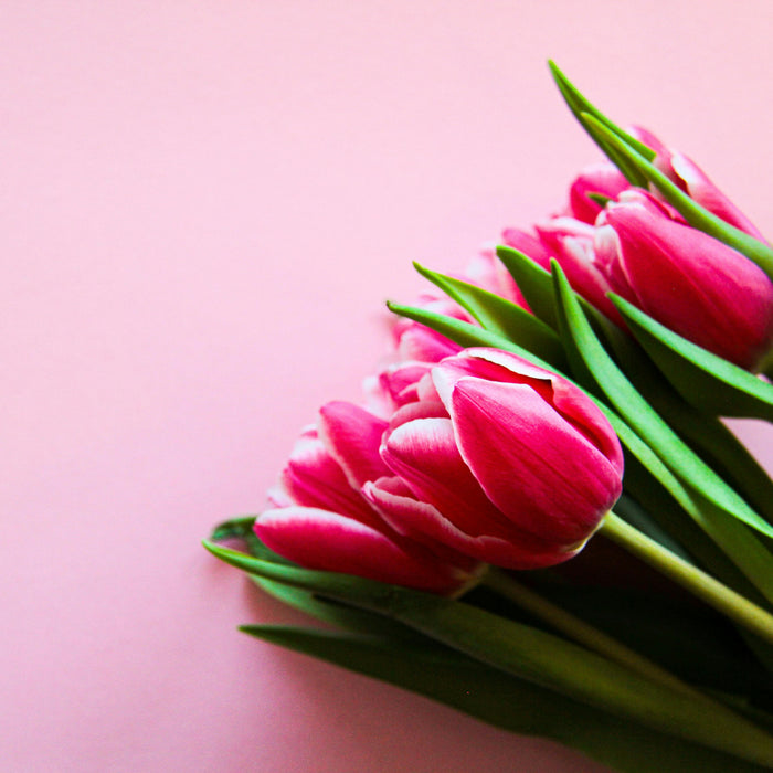 Mother’s Day gift ideas for mums who love antiques