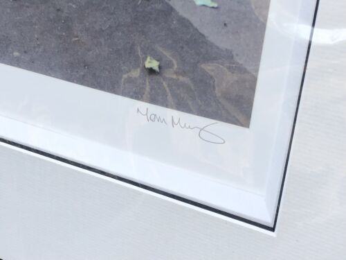 TOM MURRAY, 'SUBURBIA', LIMITED EDITION BEATLES PRINT 24/195, SIGNED & C.O.A.
