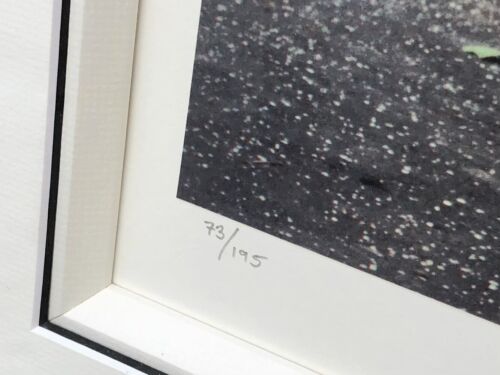 TOM MURRAY, 'NOWHERE MAN', LIMITED EDITION BEATLES PRINT 73/195, SIGNED & COA