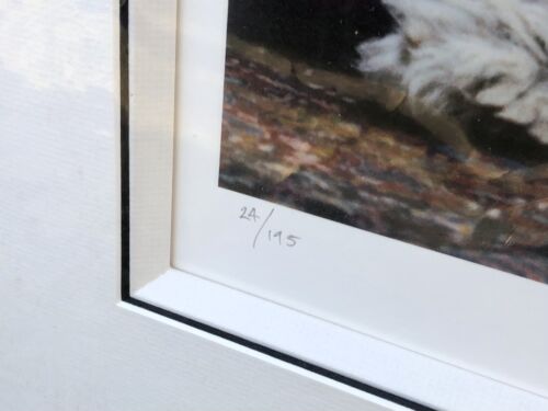 TOM MURRAY, 'MARTHA MY DEAR', LIMITED EDITION BEATLES PAUL & RINGO PRINT, SIGNED