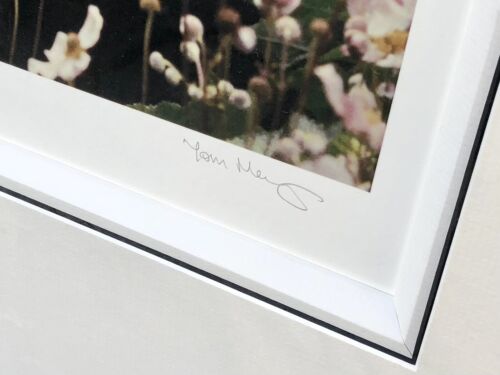 TOM MURRAY, 'FLOWER POWER I', LIMITED EDITION BEATLES PRINT 73/195, SIGNED & COA