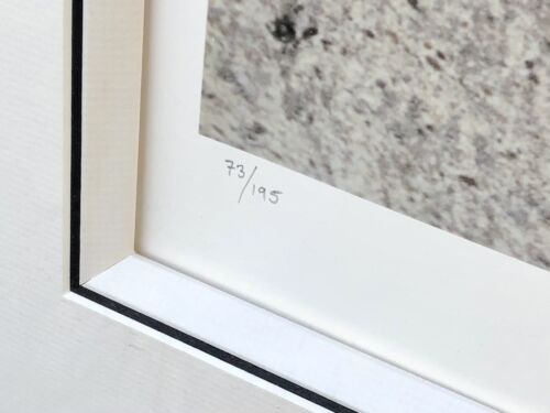 TOM MURRAY, 'UNTITLED I', LIMITED EDITION BEATLES PRINT 73/195, SIGNED & COA