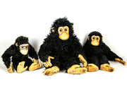 Dean's chimpanzee