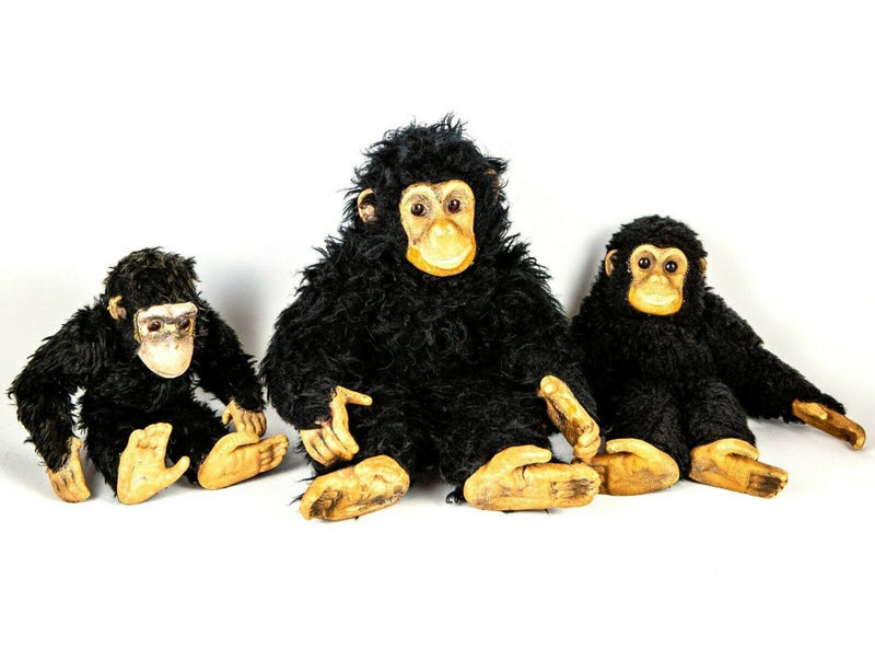 Dean's chimpanzee