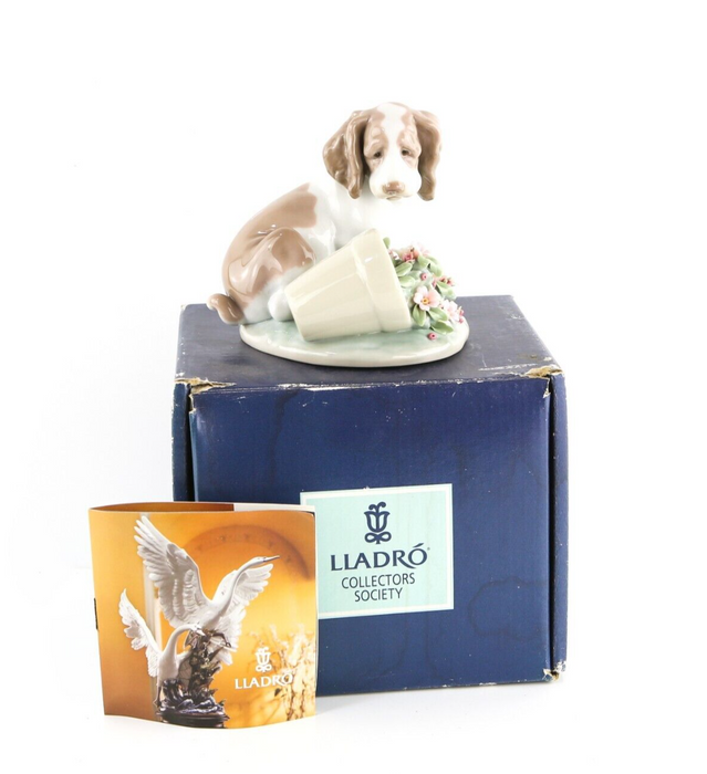 LLADRO 'IT WASN'T ME' SPANIEL PUPPY DOG PLANT POT FLOWERS FIGURE MODEL 7672, BOX