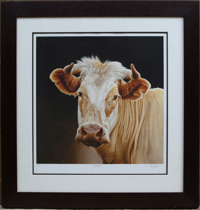 PAUL JAMES 'GOLDIE' COW STUDY, LARGE LIMITED EDITION PRINT 26/100, SIGNED & COA