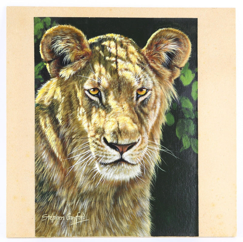 STEPHEN GAYFORD, 'DAPPLED SUNLIGHT', LIONESS STUDY, ACRYLIC PAINTING, SIGNED