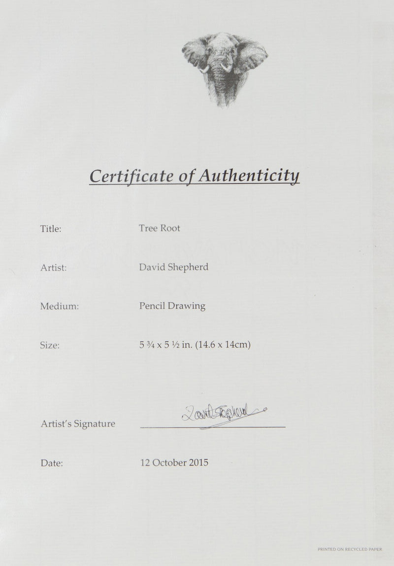 DAVID SHEPHERD, 'TREE ROOT', ORIGINAL PENCIL DRAWING SKETCH & COA