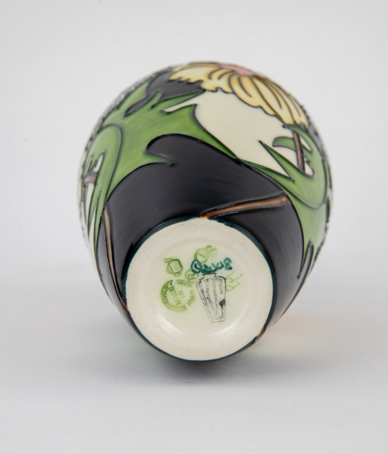 MOORCROFT POTTERY 'DAISY MAY' 2008 KERRY GOODWIN VASE, BOXED