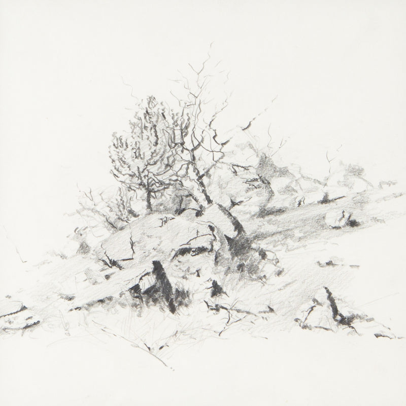 DAVID SHEPHERD, 'BUSH STUDY', ORIGINAL PENCIL DRAWING SKETCH & COA