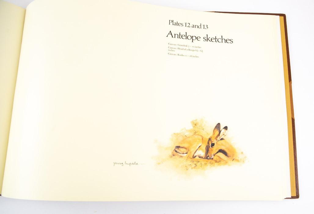 DAVID SHEPHERD, 'PAINTINGS OF AFRICA & INDIA', LIMITED EDITION ART FOLIO, SIGNED