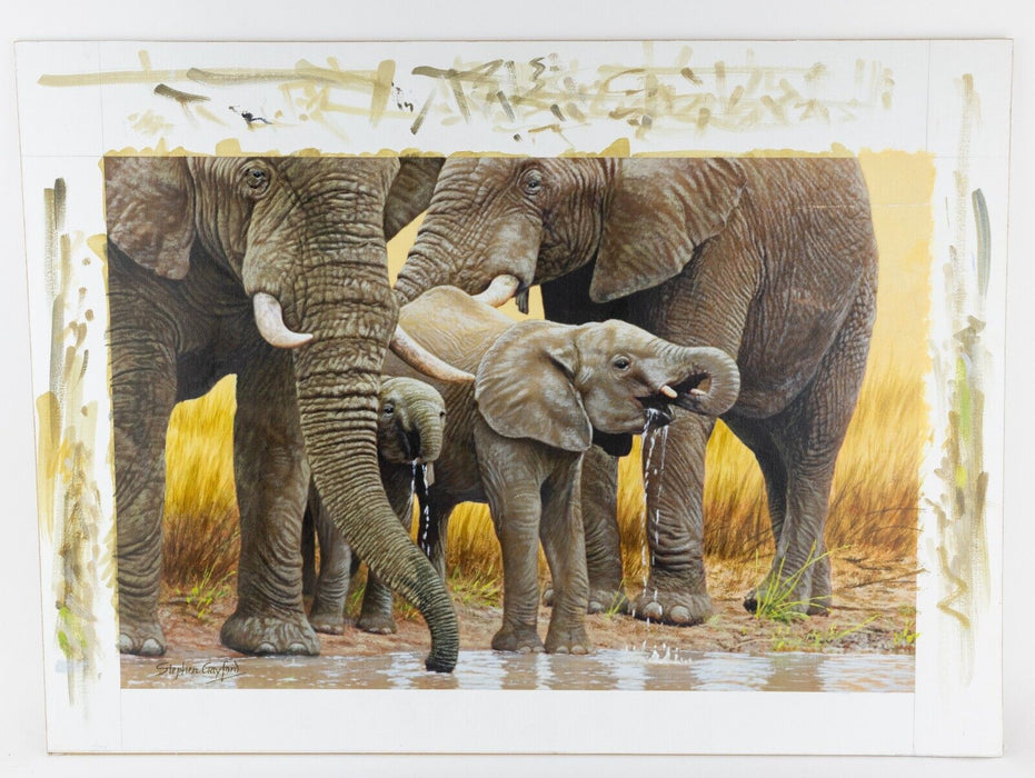 STEPHEN GAYFORD, 'DRINKING SESSION', ELEPHANTS STUDY, ACRYLIC PAINTING, SIGNED