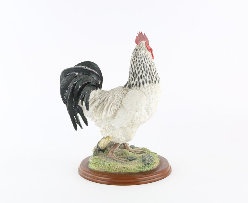 BORDER FINE ARTS 'WHITE COCKEREL' LARGE FIGURE MODEL TABLEAU 739448, BOXED