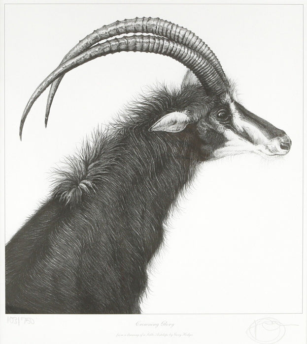 GARY HODGES 'CROWNING GLORY, ANTELOPE' LIMITED EDITION PRINT 103/750, SIGNED