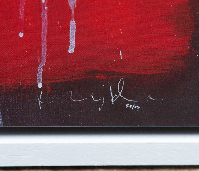 DOUG HYDE, 'HANDLE WITH CARE', LARGE LIMITED EDITION CANVAS PRINT 56/95 & COA