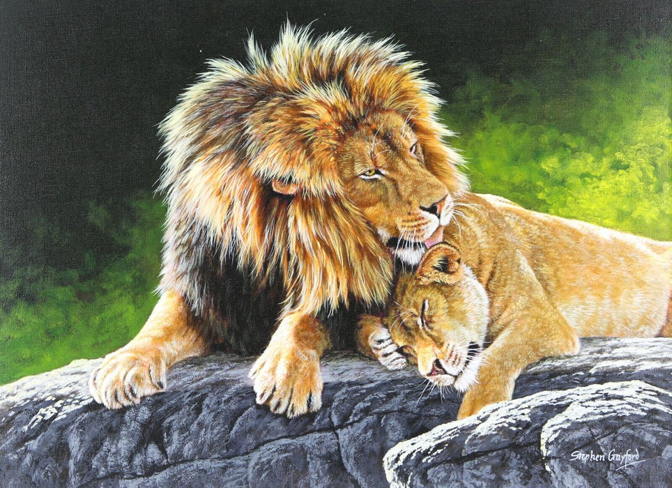 STEPHEN GAYFORD, 'PERFECT PAIR II', LION LIONESS STUDY, ACRYLIC PAINTING, SIGNED