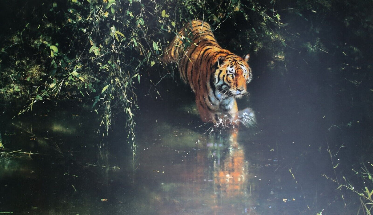 DAVID SHEPHERD 'BURNING BRIGHT' LIMITED EDITION TIGER PRINT 1643/2000, SIGNED