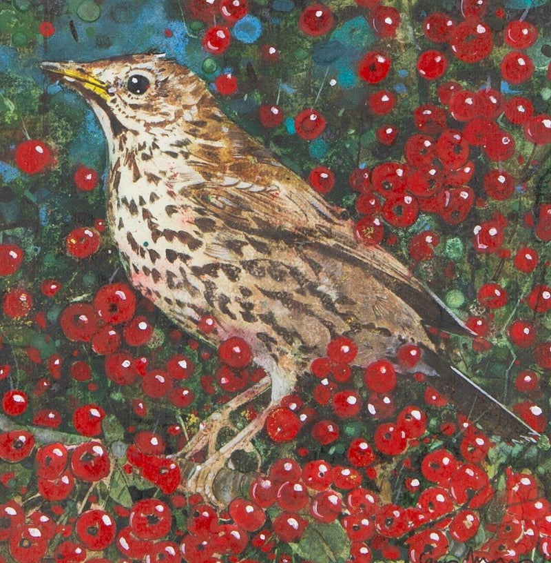 GARY ANDERSON RSW 'SONG THRUSH' 2013 BIRD STUDY, ORIGINAL WATERCOLOUR, SIGNED