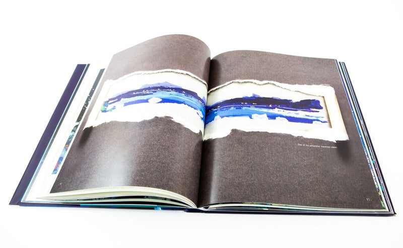 DUNCAN MACGREGOR 'MAKING WAVES' LIMITED EDITION PAINTING PRINT BOOK 320/595 COA