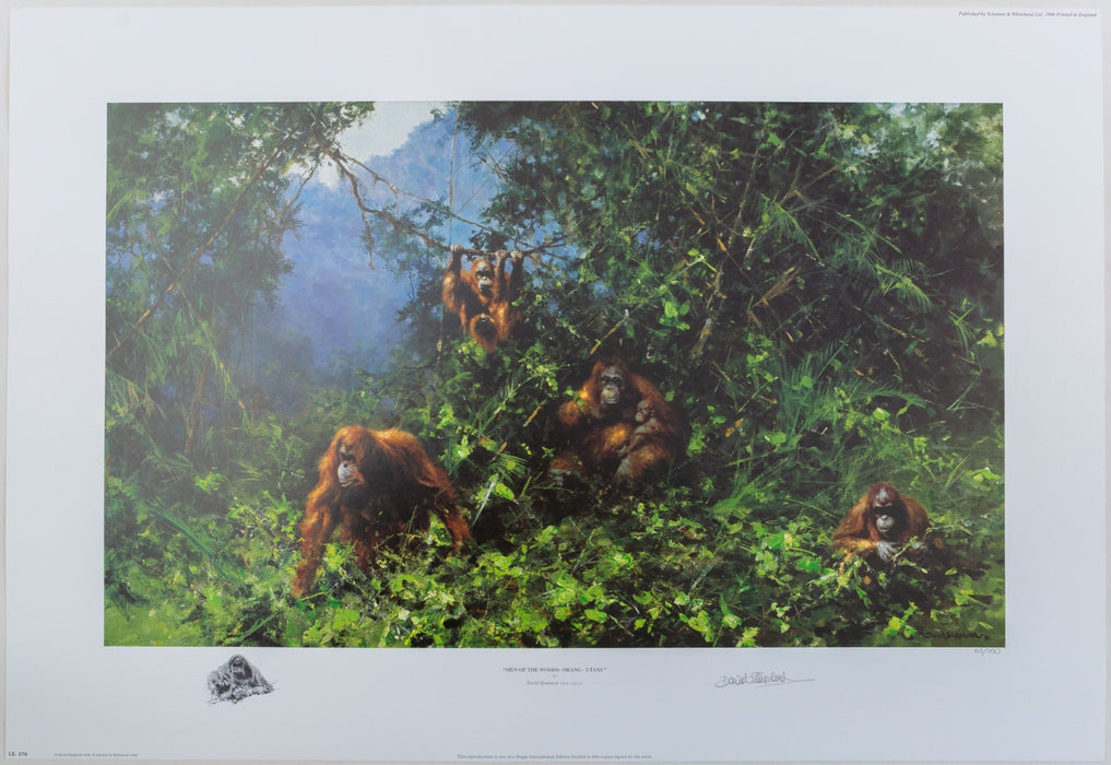 DAVID SHEPHERD 'MEN OF THE WOODS' LIMITED EDITION ORANGUTANS PRINT, SIGNED