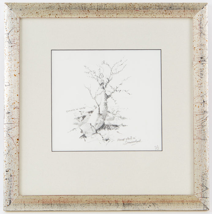 DAVID SHEPHERD 'STRANGE PLANT IN DAMARALAND' ORIGINAL PENCIL DRAWING SKETCH COA