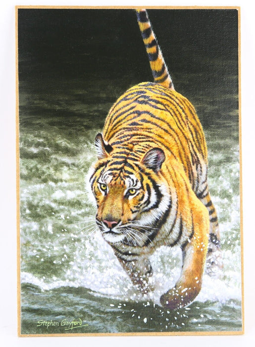 STEPHEN GAYFORD, 'IN HOT PURSUIT', TIGER STUDY ORIGINAL ACRYLIC PAINTING, SIGNED