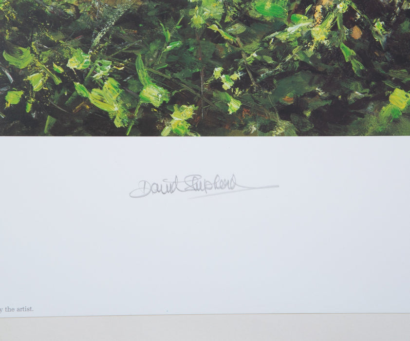 DAVID SHEPHERD 'MEN OF THE WOODS' LIMITED EDITION ORANGUTANS PRINT, SIGNED