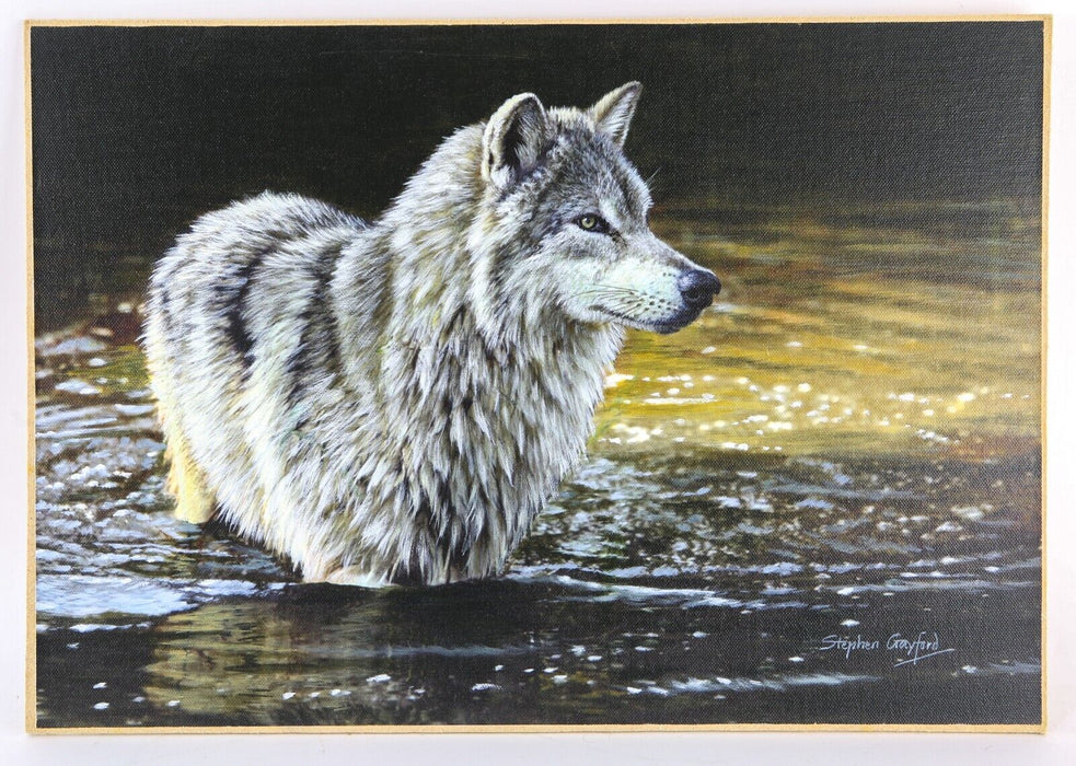 STEPHEN GAYFORD, 'THE DRIFTER', WOLF STUDY, ORIGINAL ACRYLIC PAINTING, SIGNED