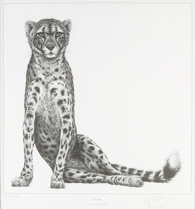 GARY HODGES 'CHEETAH' LIMITED EDITION WILDLIFE ANIMAL PRINT 1149/1250, SIGNED