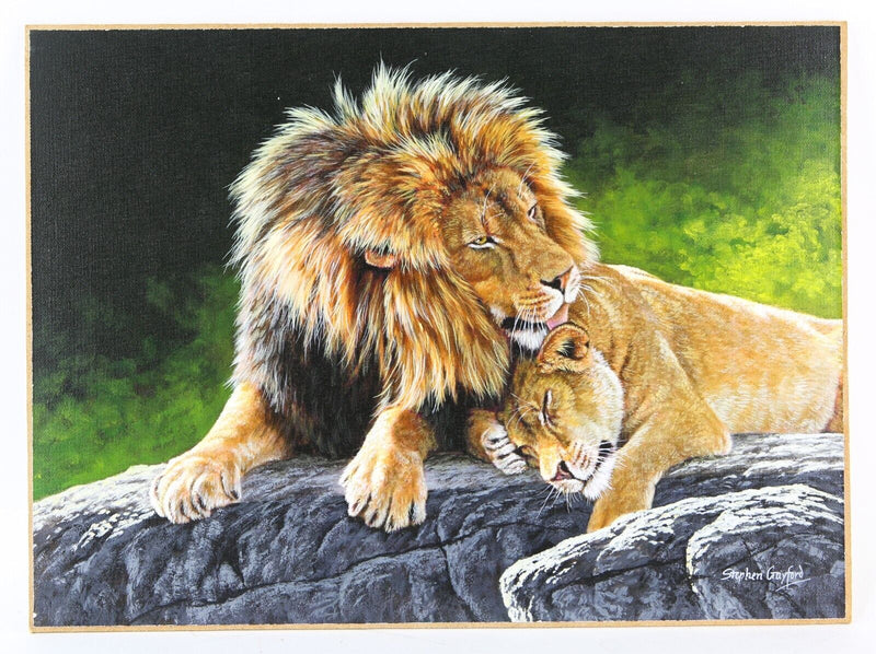 STEPHEN GAYFORD, 'PERFECT PAIR II', LION LIONESS STUDY, ACRYLIC PAINTING, SIGNED