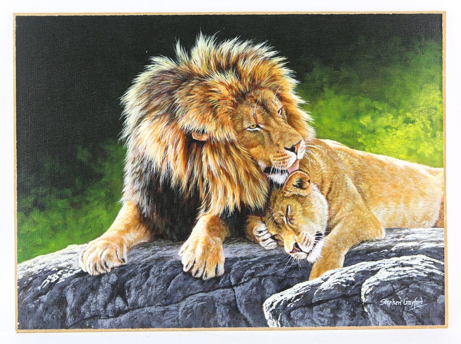 STEPHEN GAYFORD, 'PERFECT PAIR II', LION LIONESS STUDY, ACRYLIC PAINTING, SIGNED