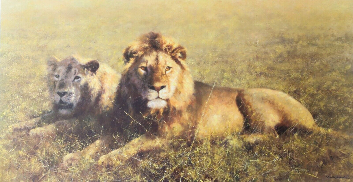 DAVID SHEPHERD 'SERENGETI FRIENDS' LIMITED EDITION LIONS PRINT 53/350, SIGNED