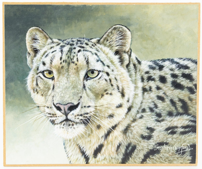 STEPHEN GAYFORD 'HIMALAYAN SPIRIT' SNOW LEOPARD ORIGINAL ACRYLIC PAINTING SIGNED
