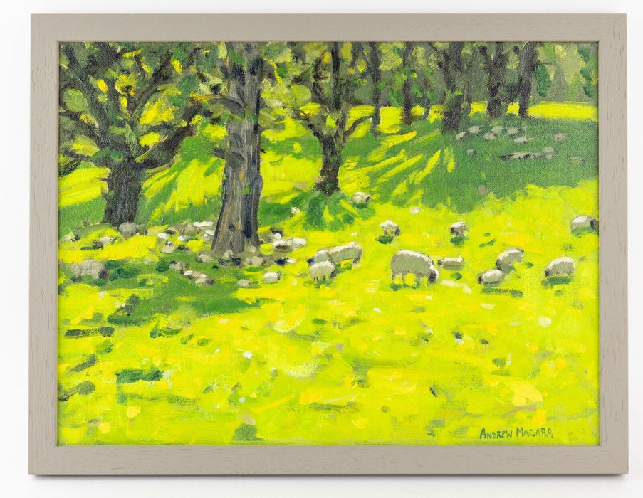 ANDREW MACARA NEAC, 'OSMASTON', 2011 SHEEP STUDY, ORIGINAL OIL PAINTING, SIGNED