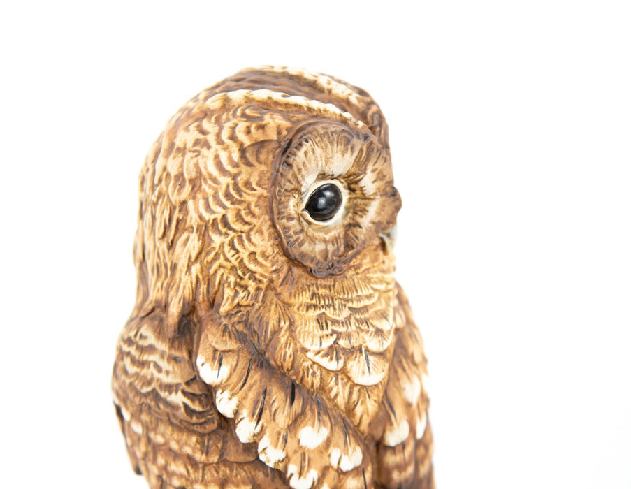 ROYAL DOULTON 'TAWNY OWL' LIMITED EDITION FIGURE MODEL DA156 & COA 26CM
