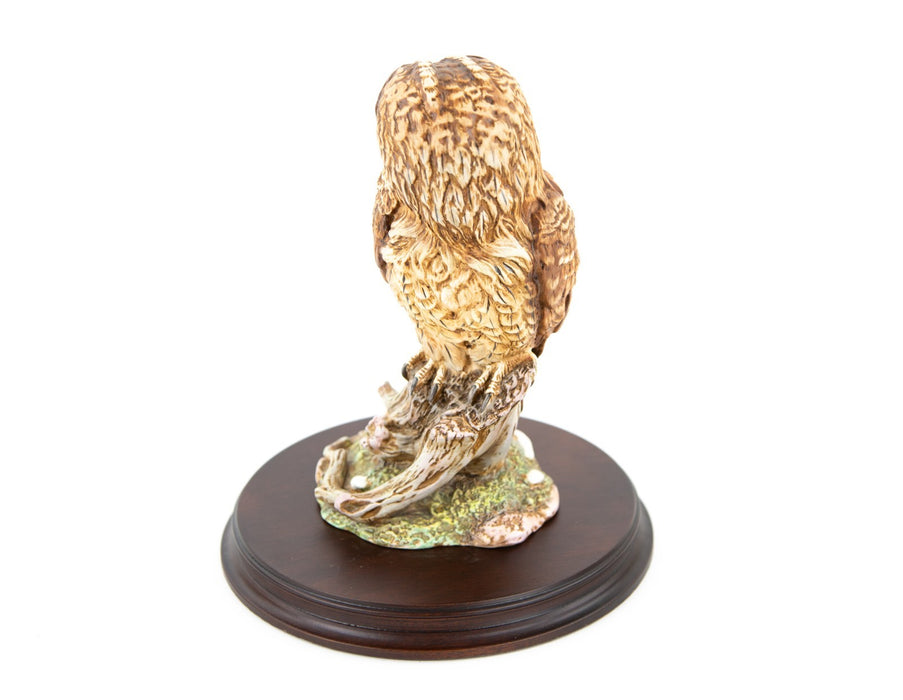 ROYAL DOULTON 'TAWNY OWL' LIMITED EDITION FIGURE MODEL DA156 & COA 26CM