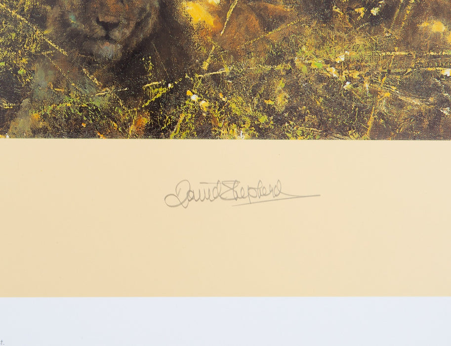 DAVID SHEPHERD, 'FIRST LIGHT AT SAVUTI', LIMITED EDITION LIONS PRINT, SIGNED