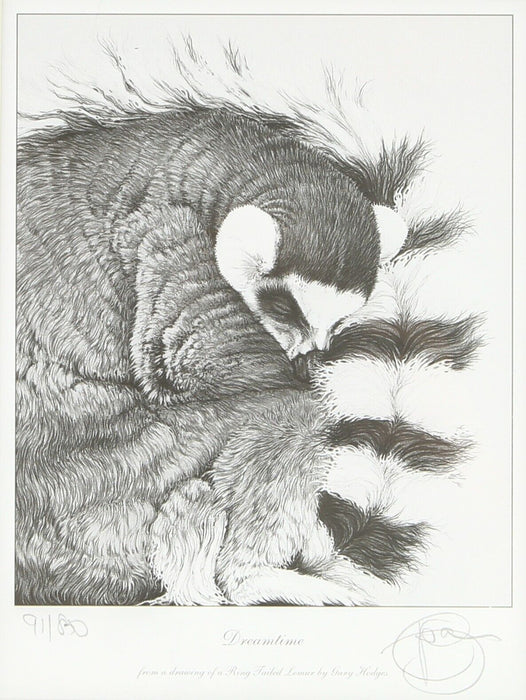 GARY HODGES 'DREAMTIME, RING TAILED LEMUR' LIMITED EDITION PRINT 91/850, SIGNED