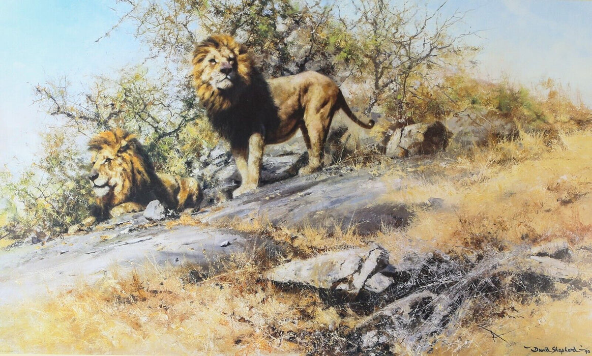 DAVID SHEPHERD 'THE TWO GENTLEMEN OF SAVUTI' LIMITED EDITION LIONS PRINT, SIGNED