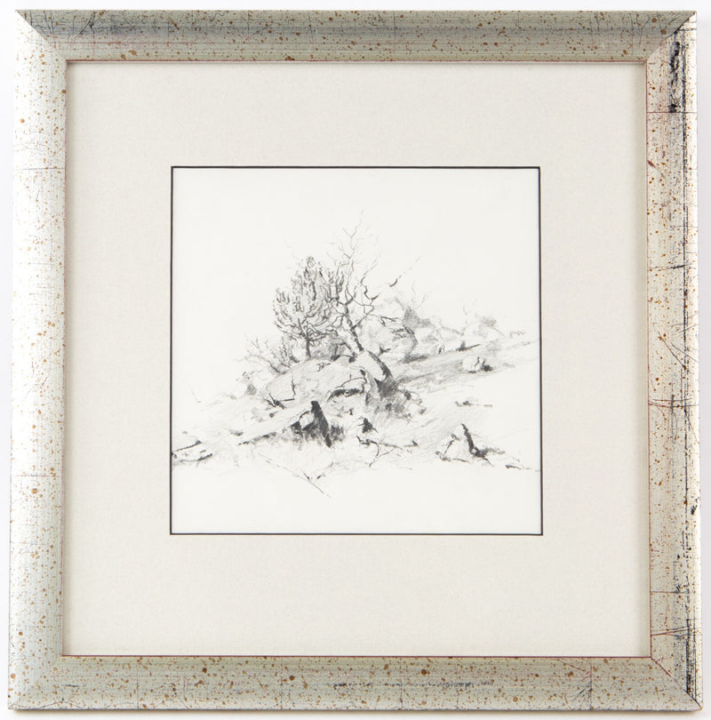 DAVID SHEPHERD, 'BUSH STUDY', ORIGINAL PENCIL DRAWING SKETCH & COA