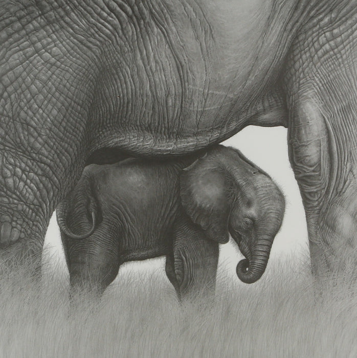 GARY HODGES 'LOVE AND PROTECTION' LIMITED EDITION ELEPHANT PRINT 845/850, SIGNED