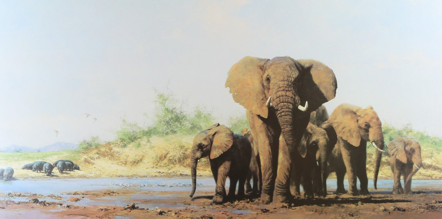 DAVID SHEPHERD, 'EVENING IN AFRICA', LIMITED EDITION ELEPHANTS PRINT, SIGNED