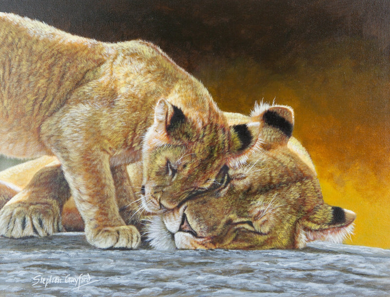 STEPHEN GAYFORD, 'SAVANNAH SLUMBER', LIONESS & CUB, ORIGINAL PAINTING, SIGNED