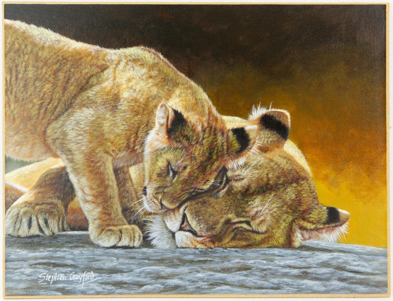 STEPHEN GAYFORD, 'SAVANNAH SLUMBER', LIONESS & CUB, ORIGINAL PAINTING, SIGNED