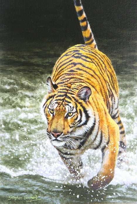 STEPHEN GAYFORD, 'IN HOT PURSUIT', TIGER STUDY ORIGINAL ACRYLIC PAINTING, SIGNED