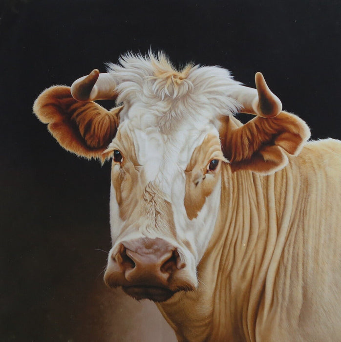 PAUL JAMES 'GOLDIE' COW STUDY, LARGE LIMITED EDITION PRINT 26/100, SIGNED & COA